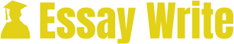 Essay Write logo